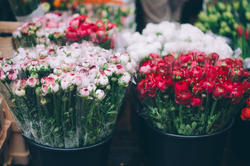 fleuriste-CAILLE-min_farmers-market-1209712